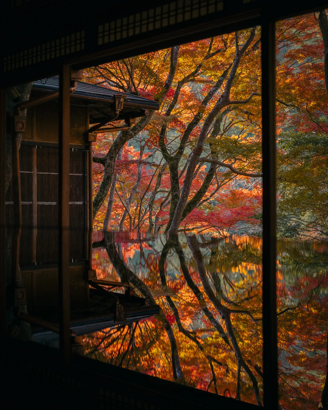 A Window to Autumn