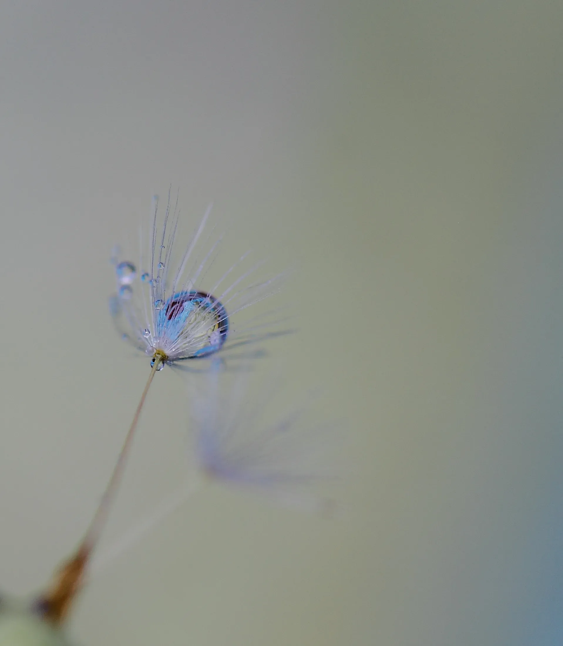 Minimalism