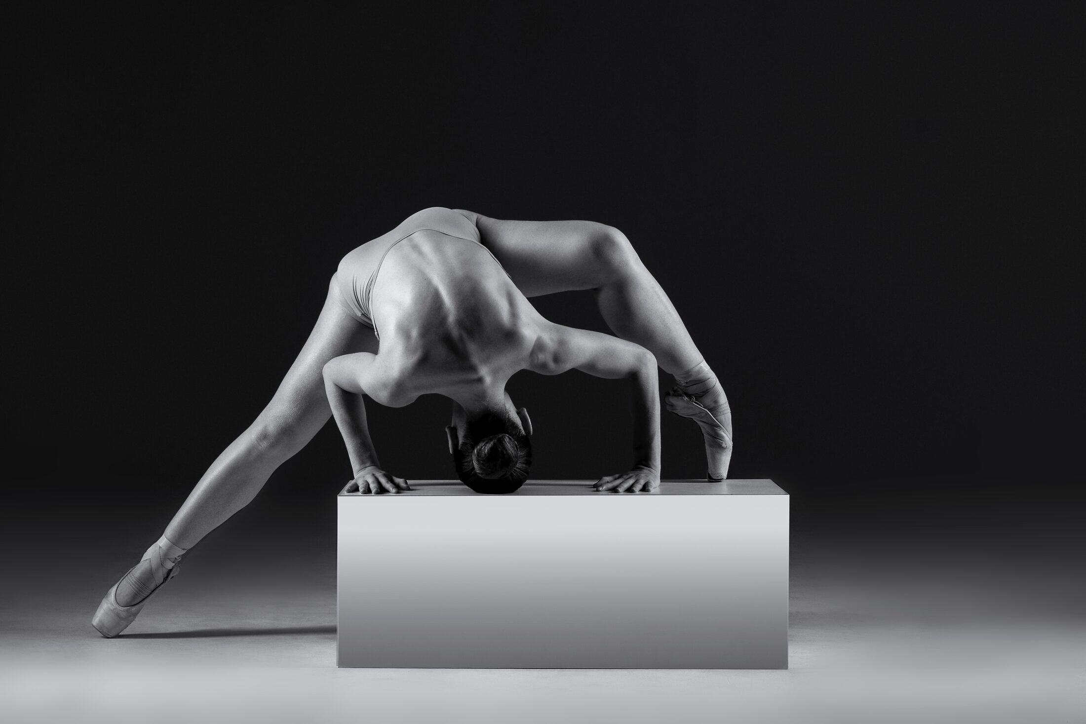The Body